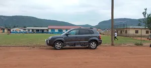 Hyundai Tucson 2005 Gray