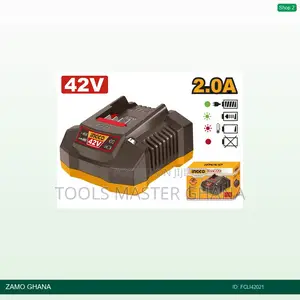 P42m Battery Charger - Fcli42021