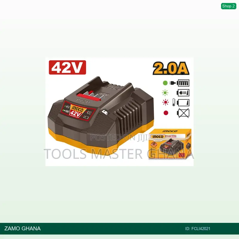 P42m Battery Charger - Fcli42021