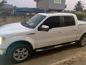Ford F-150 SuperCrew 4x4 2009 White