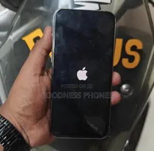Apple iPhone 15 Pro Max 256 GB Silver