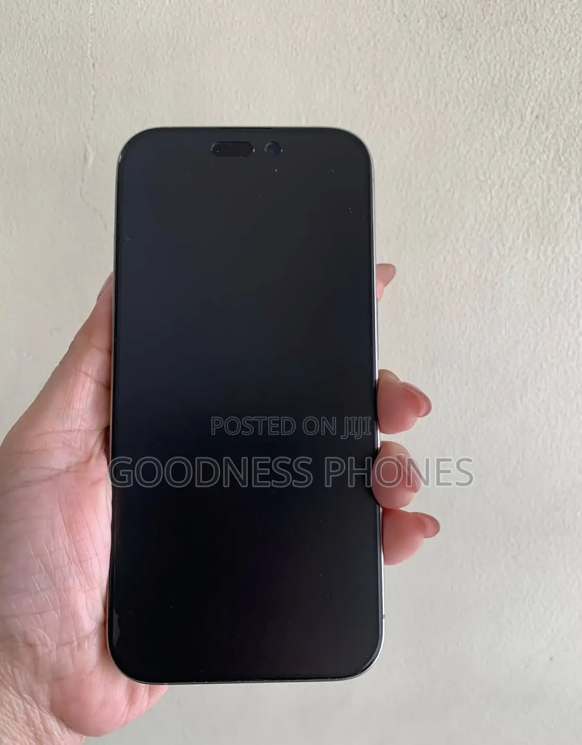 Apple iPhone 15 Pro Max 256 GB Silver