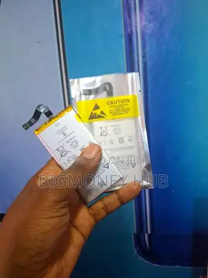 Google Pixel Batteries (Original)