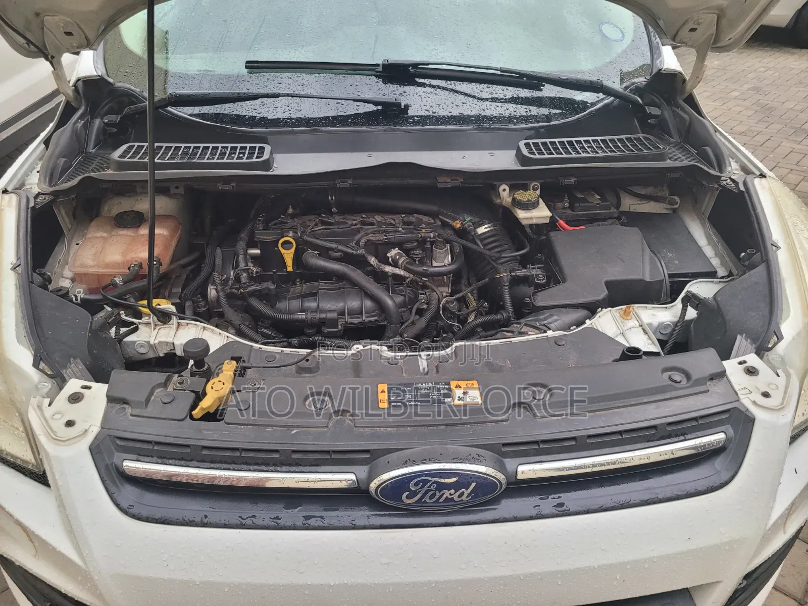 Ford Escape SE 2013 White