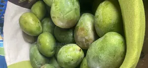 Mango Fruit