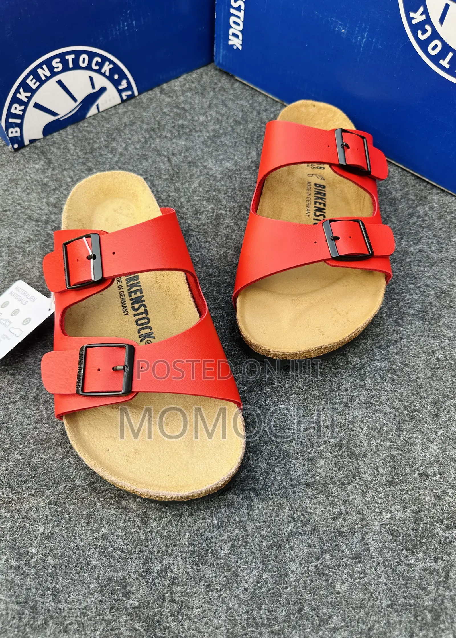 Momochi Birk