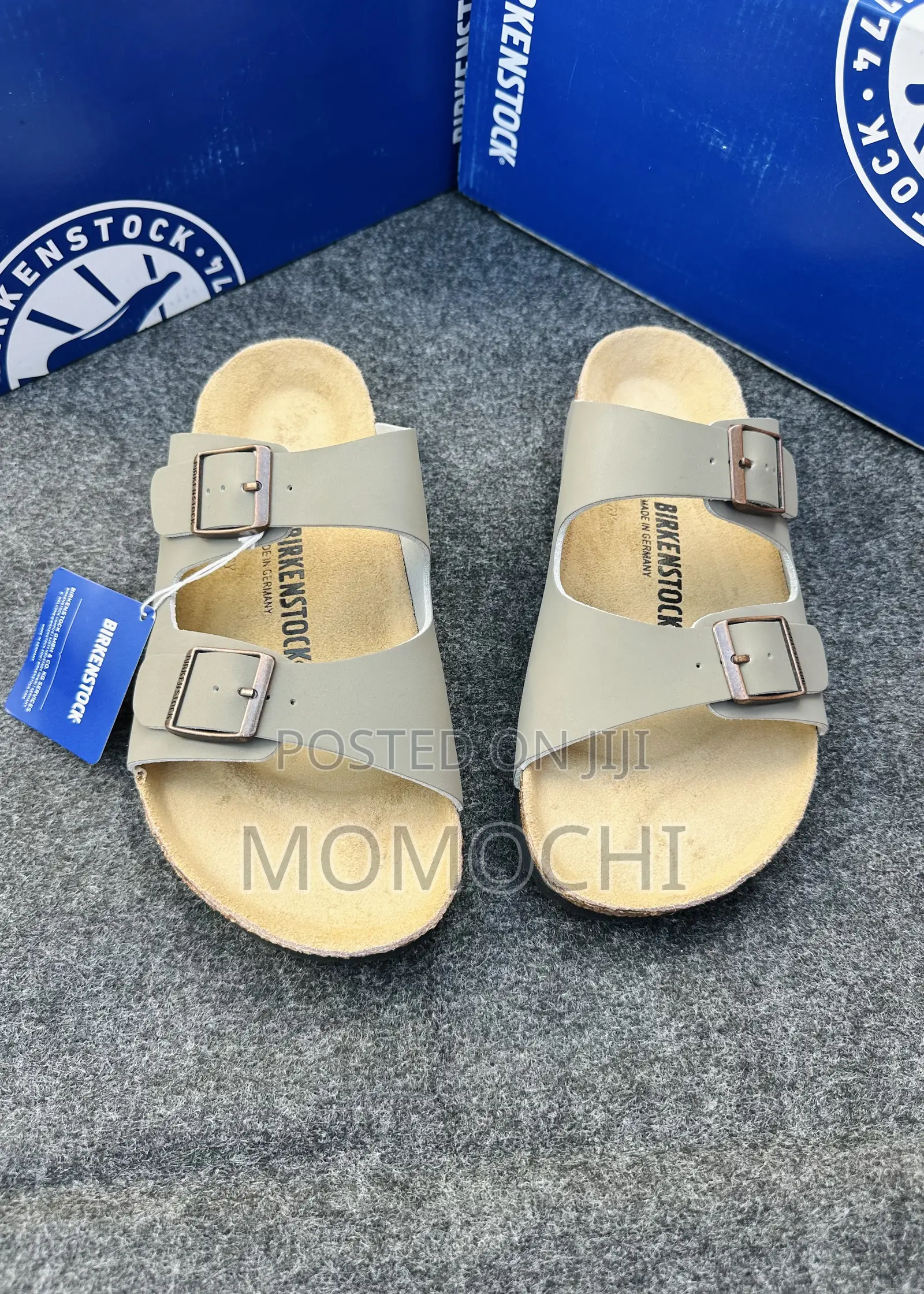 Momochi Birk