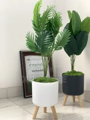 Modern Indoor Potted Plants Wooden Stands Flower Pots