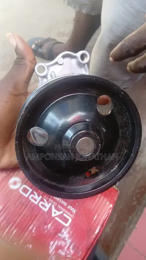 Honda CRV Water Pulp