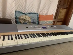 Portable Grand DGX-620