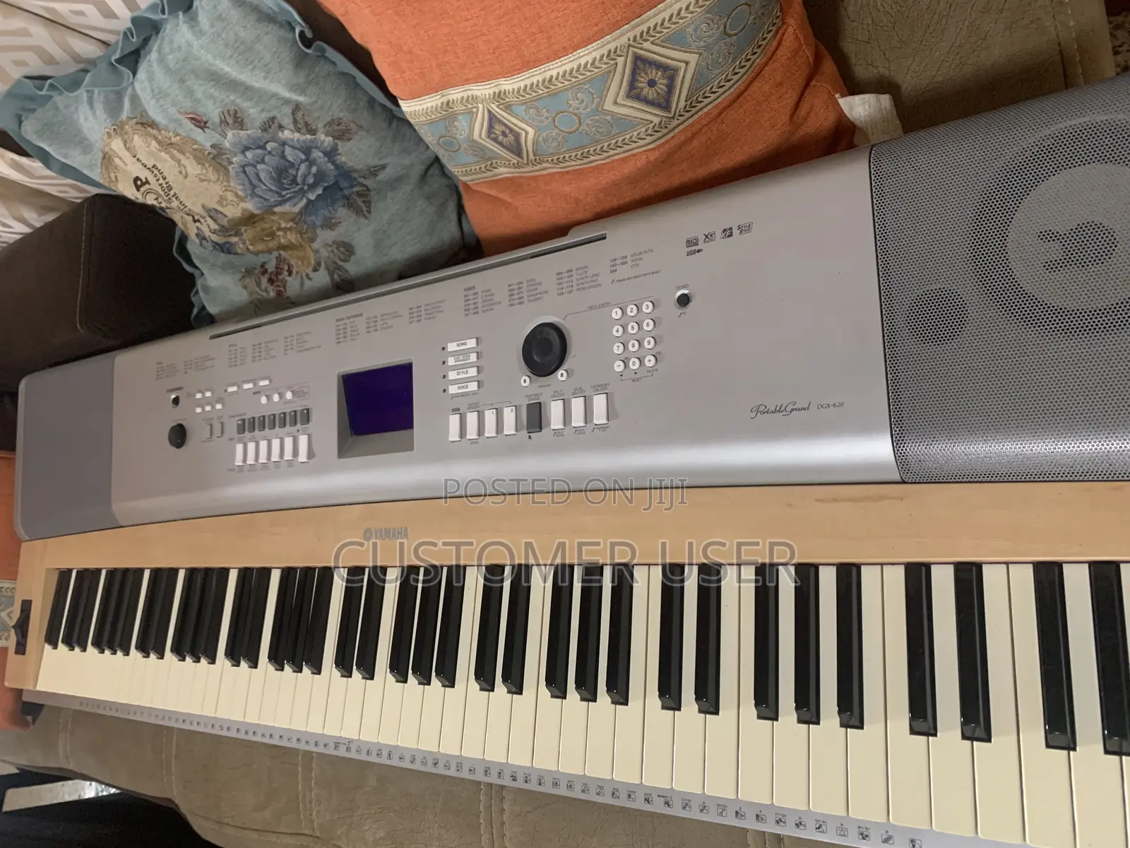 Portable Grand DGX-620