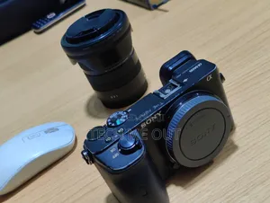 Sony A6600 Going for a Cool Price.