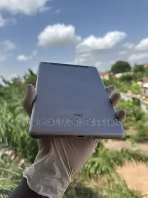 Apple iPad mini 7 16 GB Gray