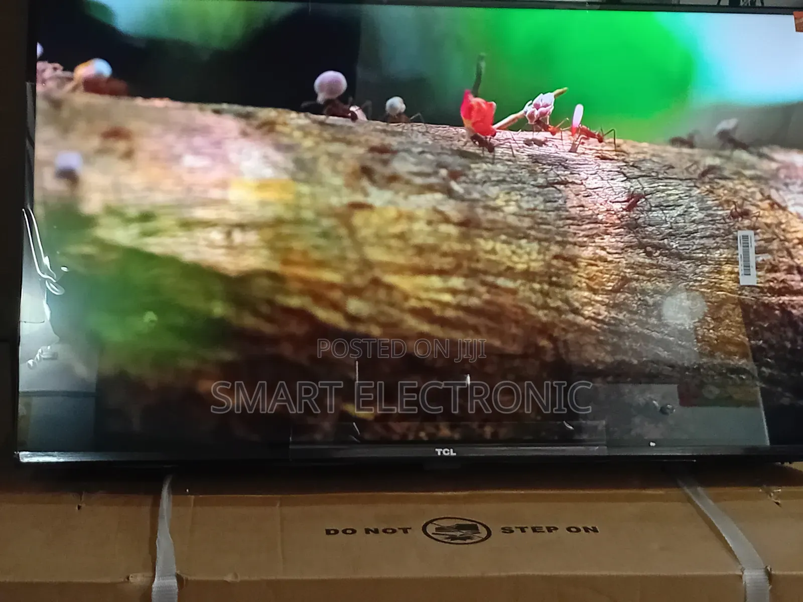 TCL 32-Inch Qled Tv – Experience True Color Clarity