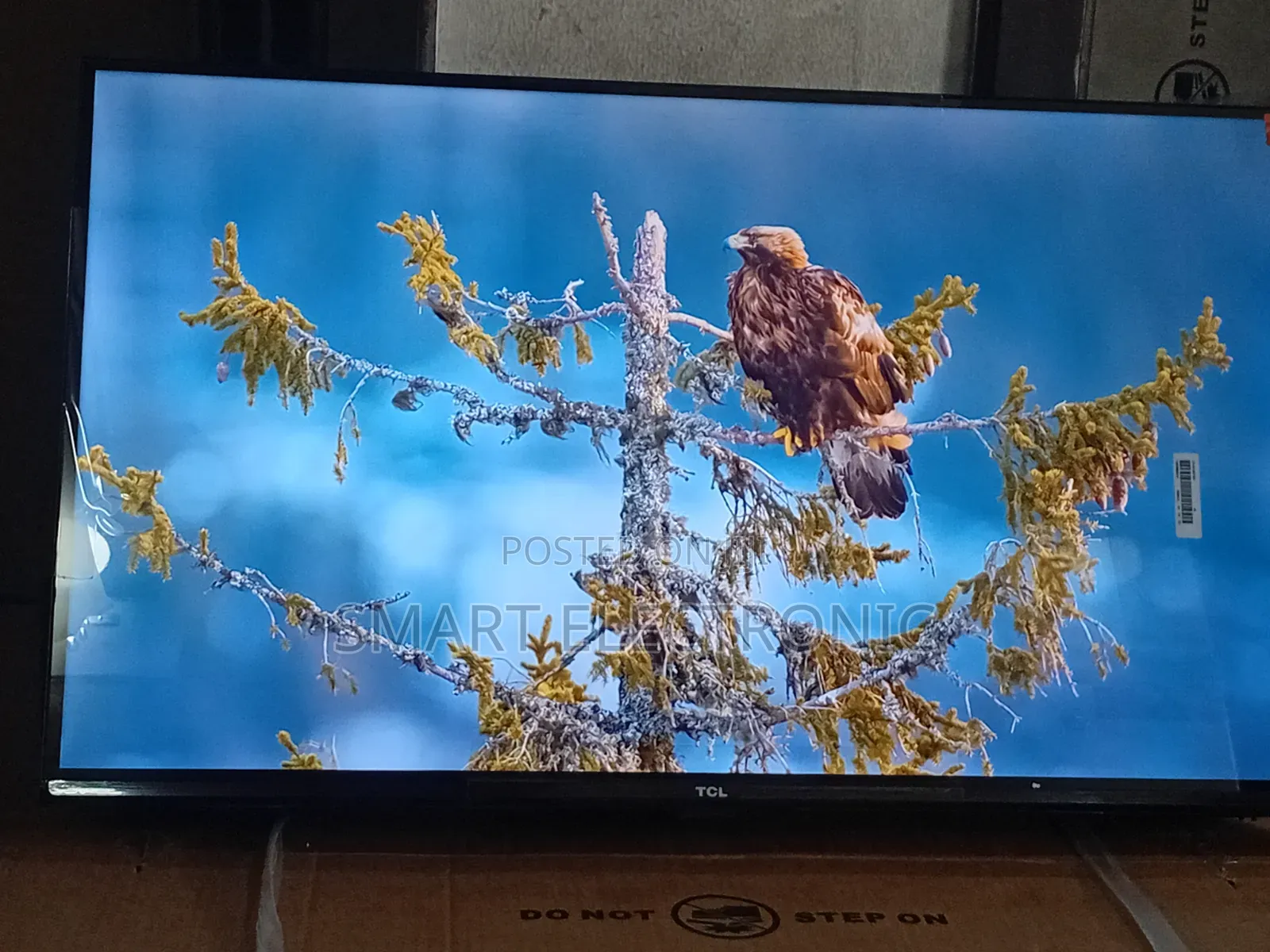 TCL 32 Inches Qled Tv – Compact Entertainment Powerhouse