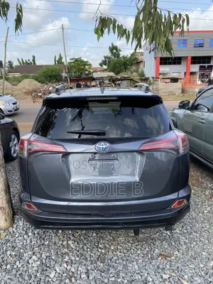 Toyota RAV4 XLE 4dr SUV AWD (2.5L 4cyl 6A) 2018 Gray