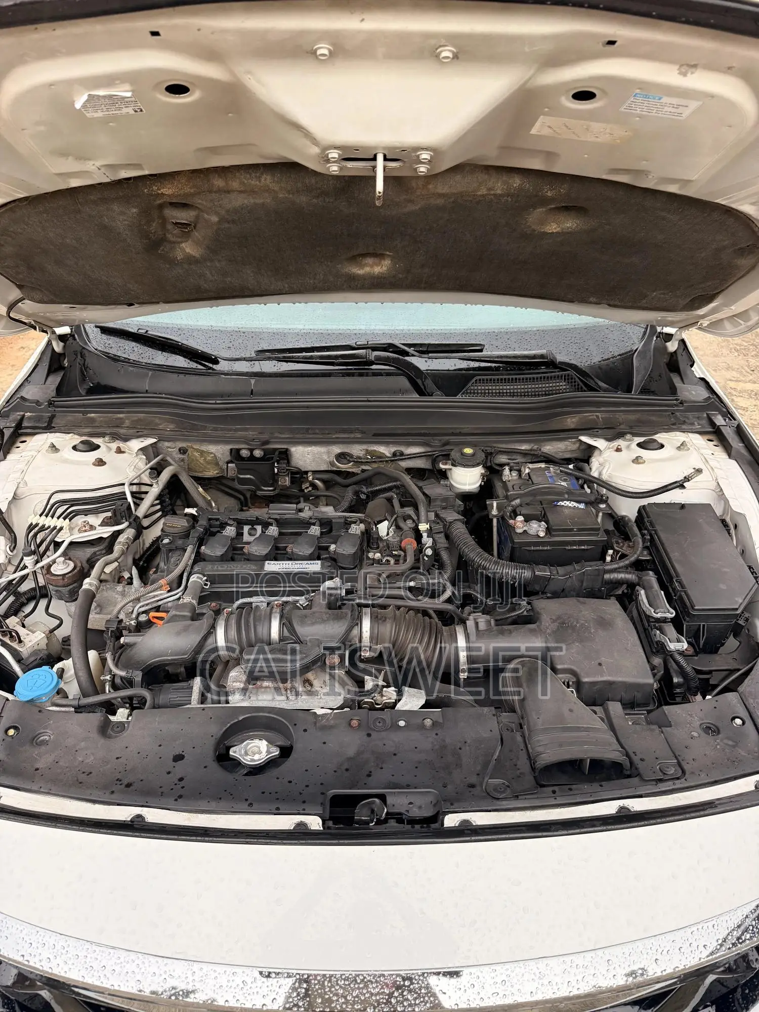 Honda Accord Sport (1.5L 4cyl Turbo 6M) 2019 White