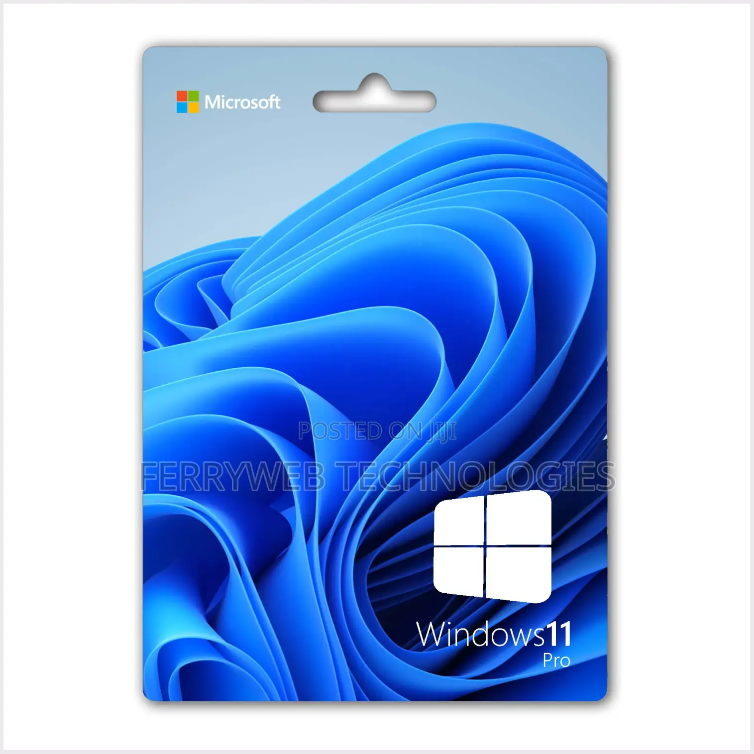 Windows 11 Pro (1pc License)