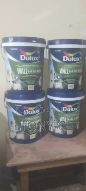 Dulux Paint