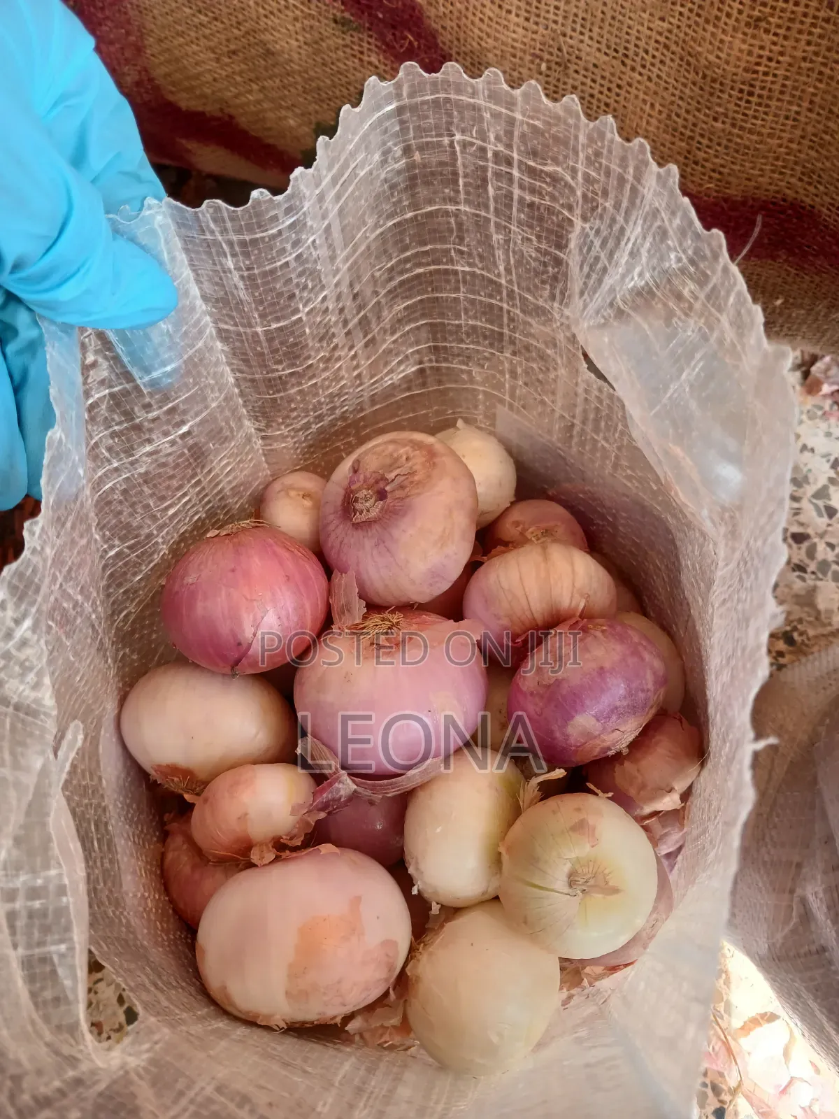 Bags Of Onions