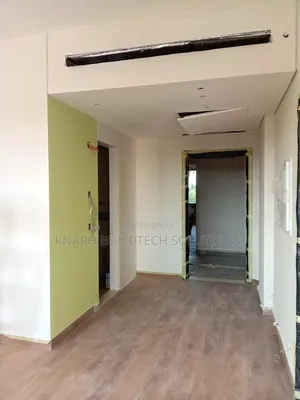 Professional Painter