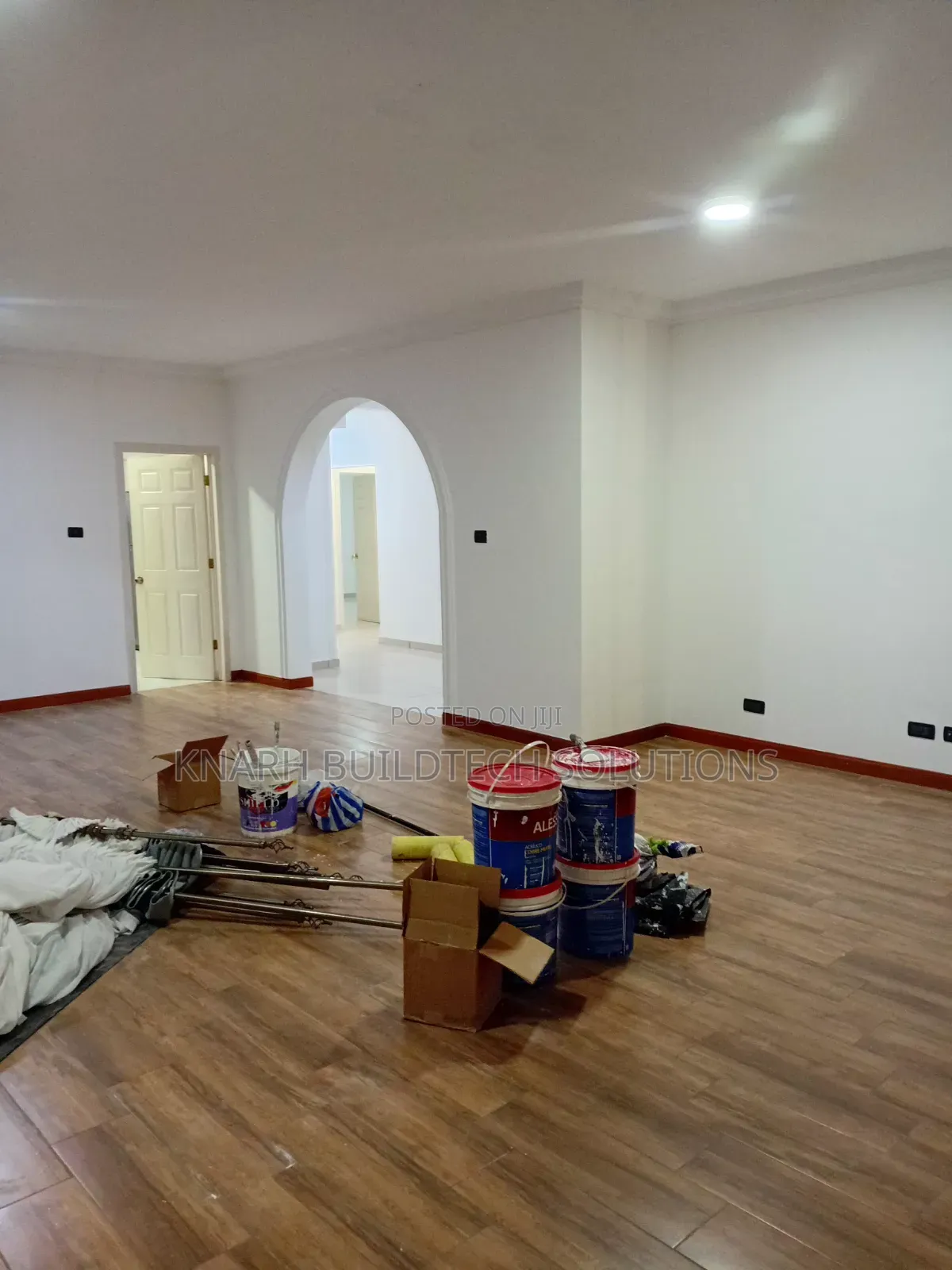 Professional Painter