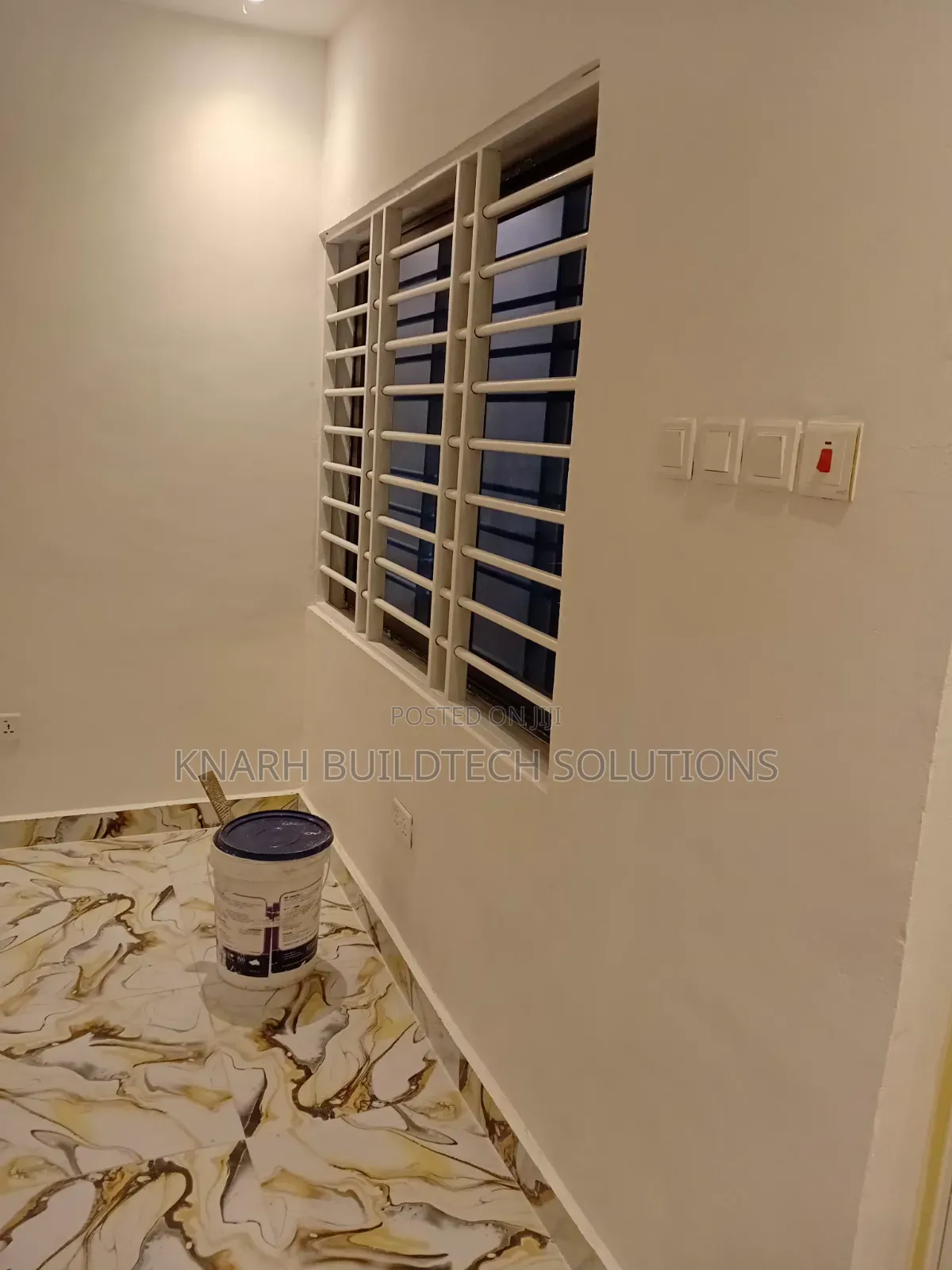 Professional Painter