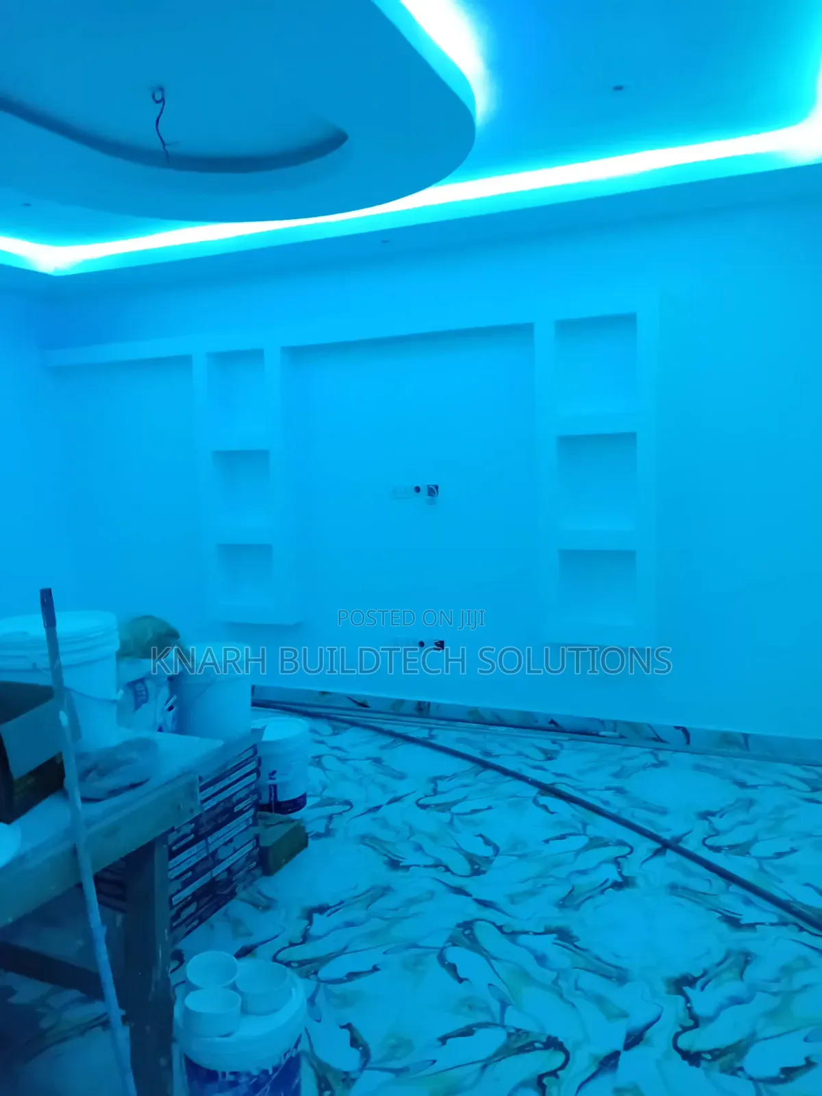Professional Painter
