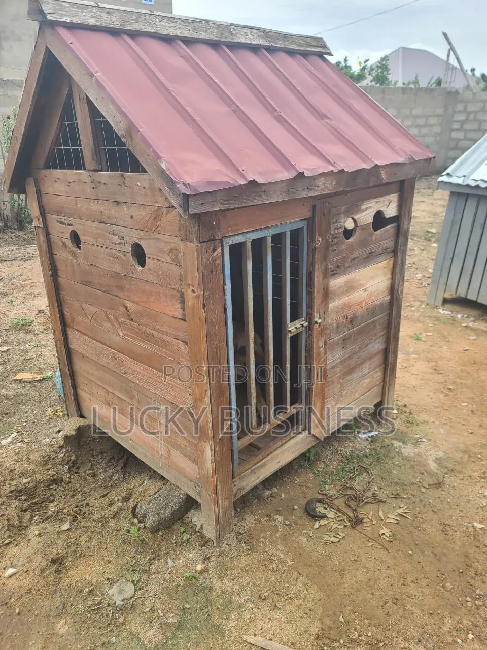 Big Cage for Big Dogs