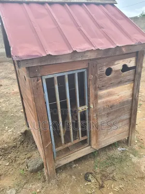 Big Cage for Big Dogs