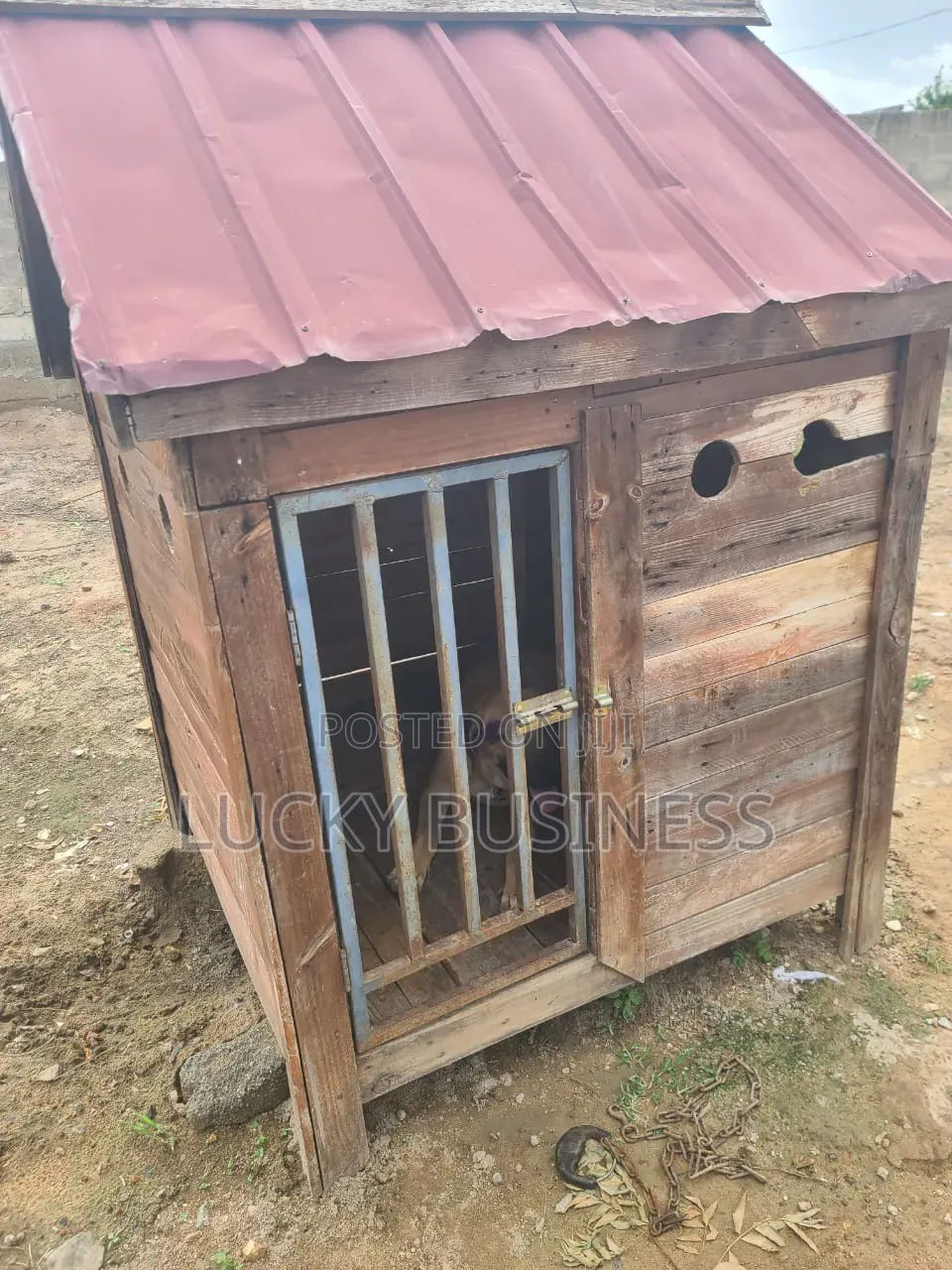 Big Cage for Big Dogs