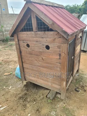 Big Cage for Big Dogs