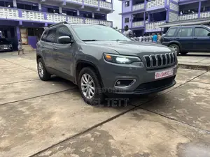 Jeep Cherokee Latitude 4x4 2019 Gray