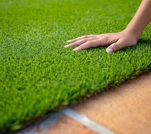 Title; Artificial Carpet Grass for Playfield