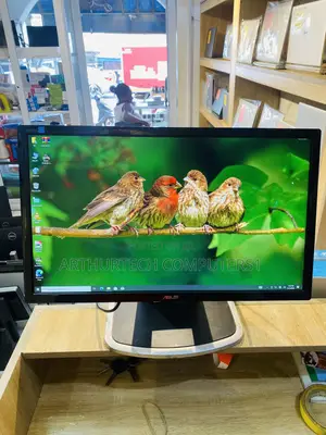 Asus LCD Monitor