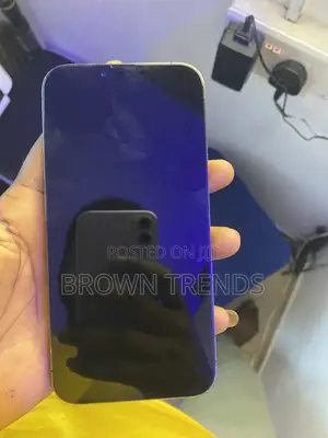 Apple iPhone 13 Pro Max 256 GB Blue