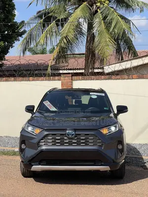 Toyota RAV4 XSE 2019 Gray