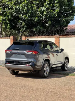 Toyota RAV4 XSE 2019 Gray