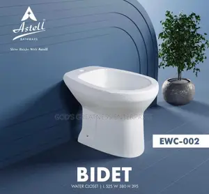 Bidet Seat