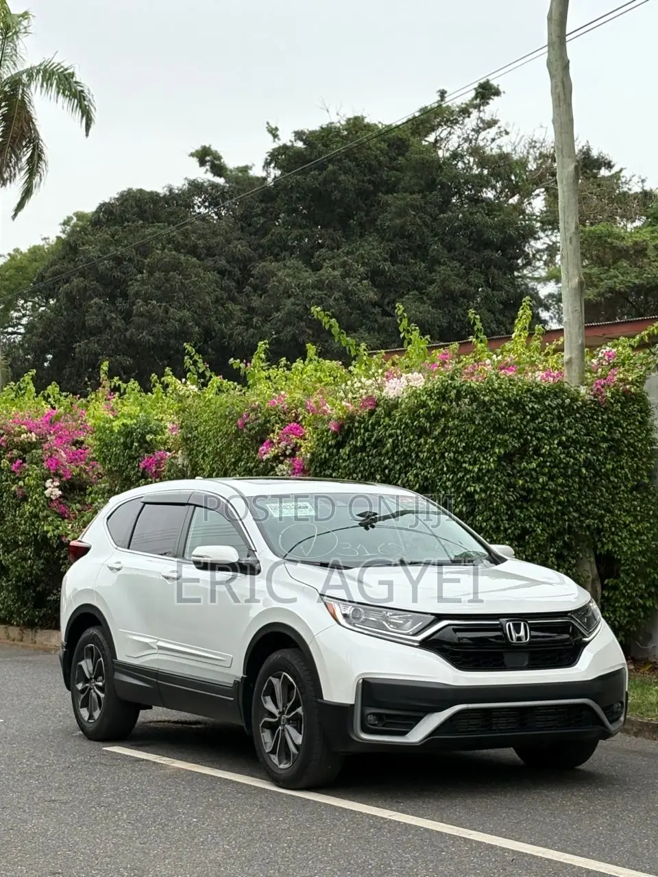 Honda CR-V EX-L 2022 White