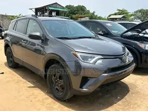 Toyota RAV4 2017 Gray