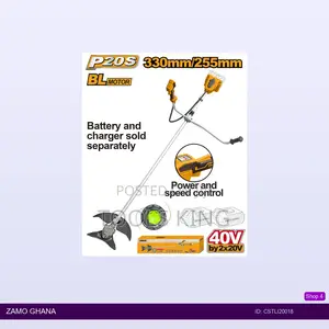 Cordless String Trimmer and Brush - Cstli20018