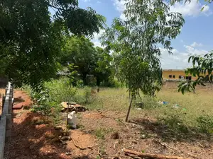 Prime Plot of Land for Sale at Achimota – Behind Neoplan Station
