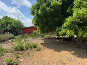 2 Plots of Land for Sale at Achimota – Behind Neoplan Station