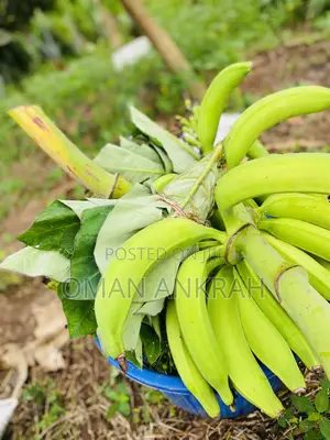 Local Foods