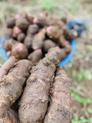 Local Foods