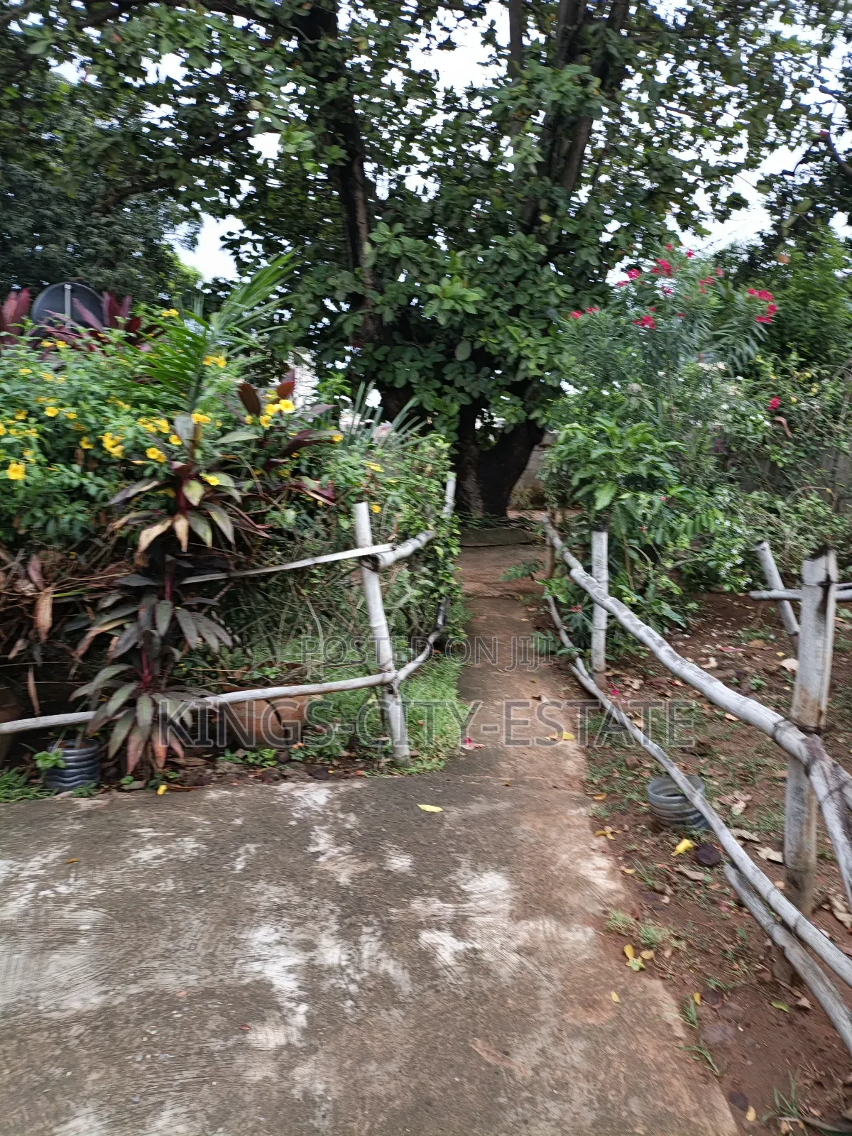 1 Plot of Land for Sale at Tesano
