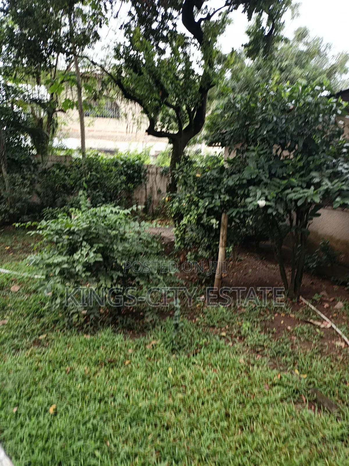 1 Plot of Land for Sale at Tesano