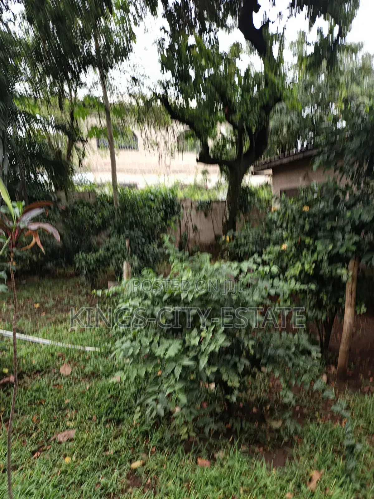 1 Plot of Land for Sale at Tesano