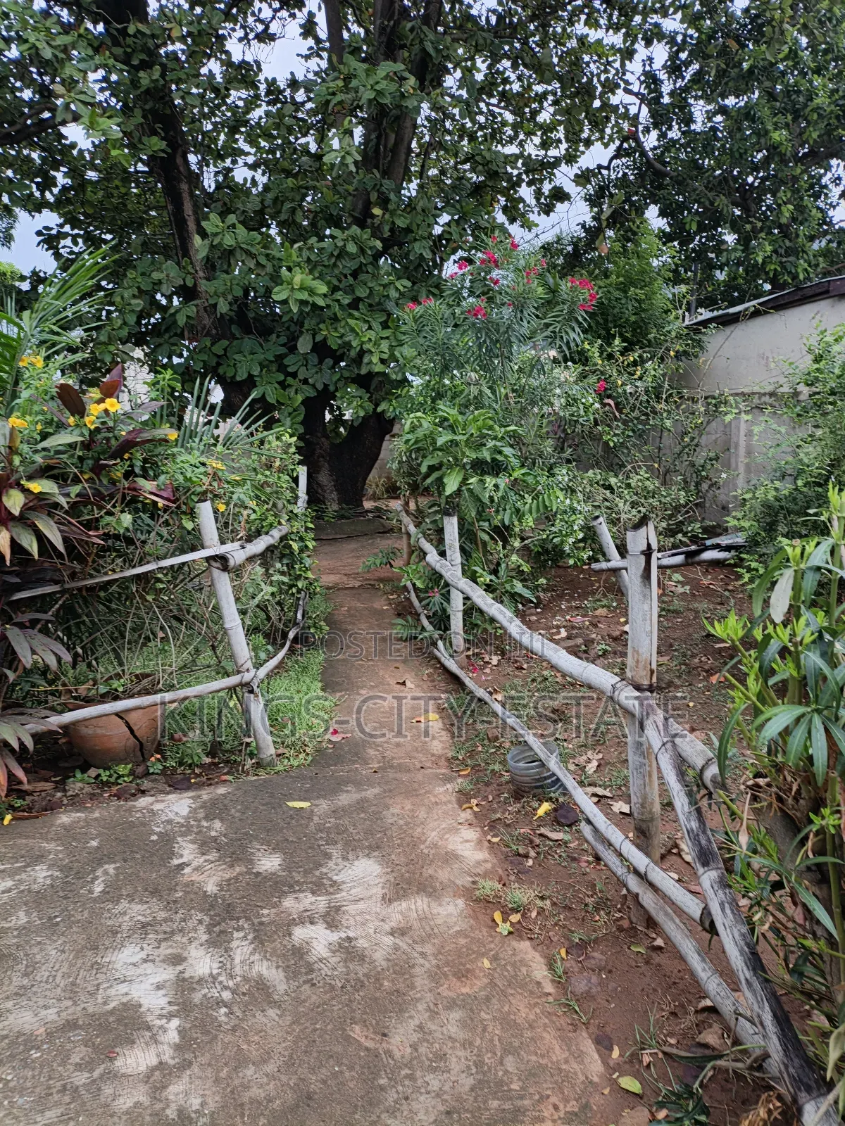1 Plot of Land for Sale at Tesano